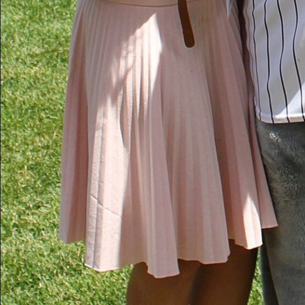 Pleated pink skirt